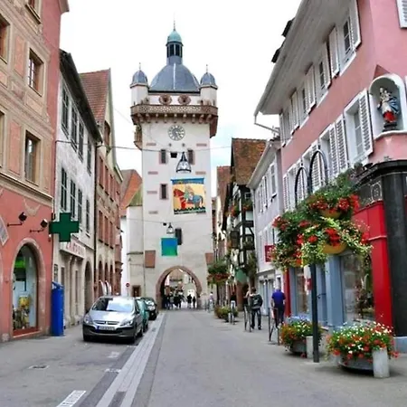 아파트 Vue Exceptionnelle Sur Les Toits Alsace *