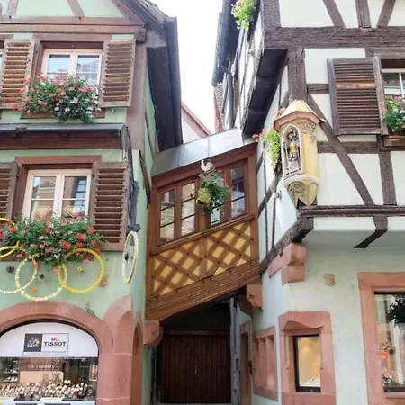 Vue Exceptionnelle Sur Les Toits Alsace Appartement
