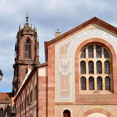 Vue Exceptionnelle Sur Les Toits Alsace Sélestat