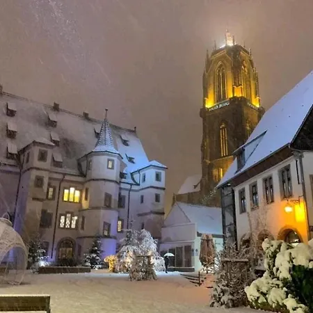 Vue Exceptionnelle Sur Les Toits Alsace Sélestat