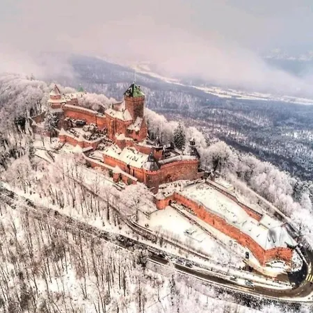 Vue Exceptionnelle Sur Les Toits Alsace Sélestat