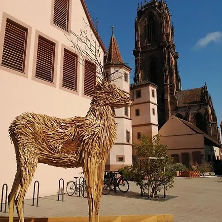 Apartamento La Terrasse Des Chevaliers Sélestat