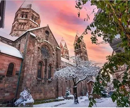 Vue Exceptionnelle Sur Les Toits Alsace
