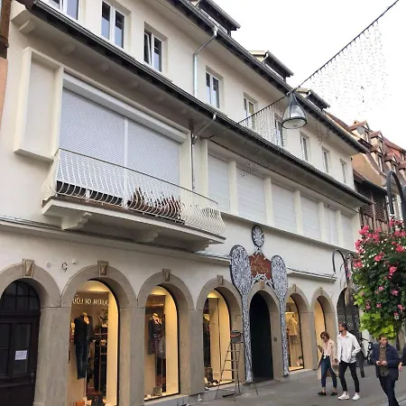 Vue Exceptionnelle Sur Les Toits Alsace