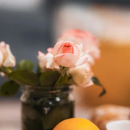 Apartamento La Terrasse Des Chevaliers Sélestat
