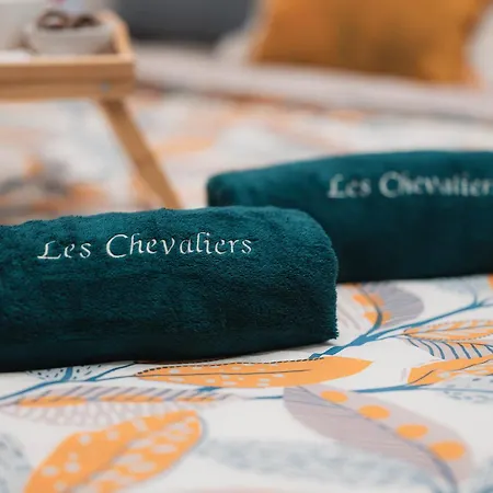 Apartamento La Terrasse Des Chevaliers Sélestat